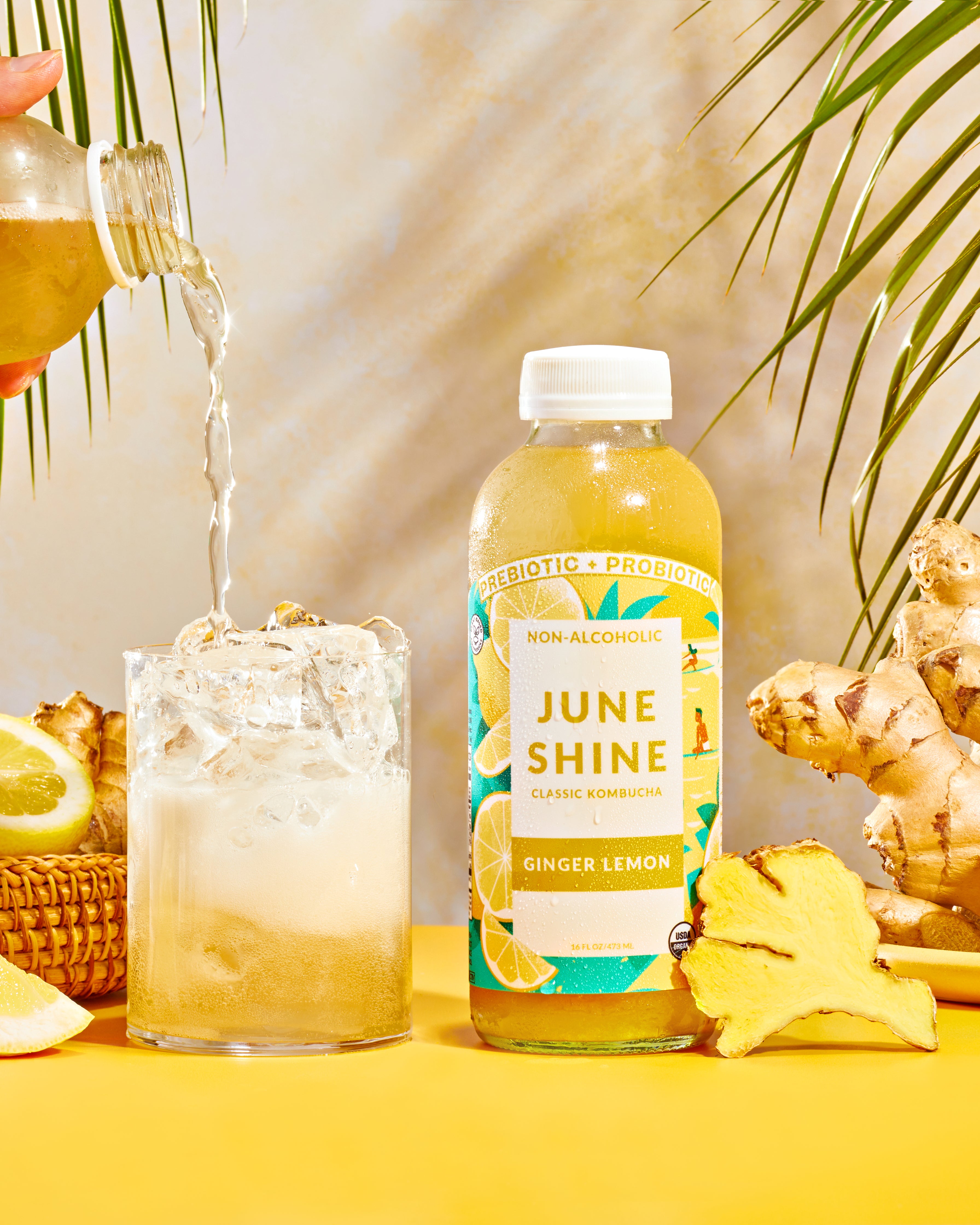 安価 Ginger Lemon Kombucha JuneShine – ギター